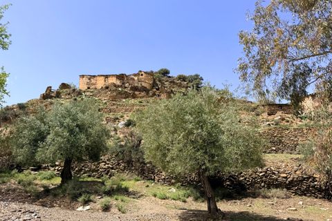Finca i Tices, Almeria, Tices - € 8.000.000 | Ref: GVCFNSC - foto 37